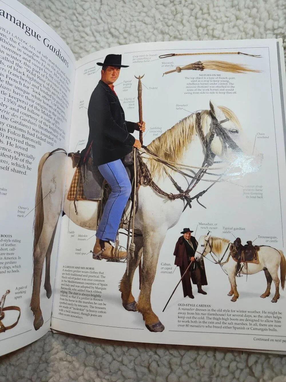 Eyewitness Books Cowboy David H Murdoch Hardcover Illustrated Juvenile DK - Picture 10 of 16
